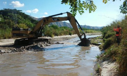 Ejecutivo regional continúa con trabajos de desazolve en río El Limón