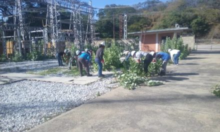 Continúa despeje de vegetación en subestaciones eléctricas de Aragua