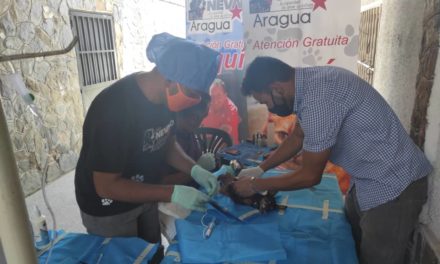 Ejecutivo regional realizó jornada de esterilización de animales en el municipio Mariño