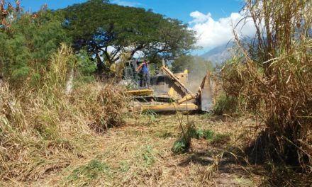 Gobierno Bolivariano de Aragua ejecuta labores de limpieza en el Parque Nacional Henri Pittier para prevenir incendios forestales