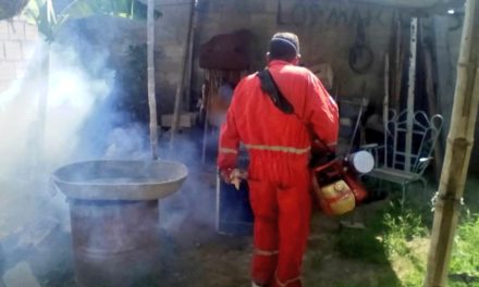 Gobierno Bolivariano de Aragua realiza jornadas de fumigación y abatización