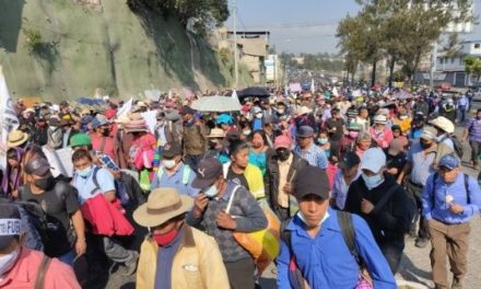 Movilización campesina en Guatemala pide renuncia de Giammattei