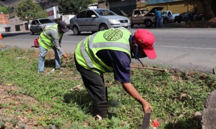 Alcaldía de Santos Michelena profundiza labores de mantenimiento y limpieza de la carretera Panamericana