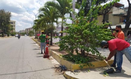 Alcaldía de Zamora continúa con trabajos de recuperación de las principales avenidas de Villa de Cura