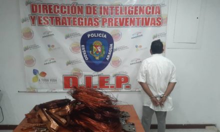 Policía de Aragua desmanteló banda dedicada al robo de material estratégico en la UCV – Maracay