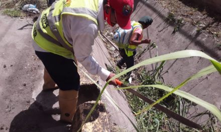 Gobierno Bolivariano realiza jornada de mantenimiento y limpieza en Residencias Codazzi en Cagua