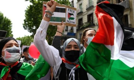Movimientos sociales de Europa se movilizaron en solidaridad con Palestina