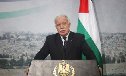 Palestina considera que la declaración del alto el fuego no es suficiente