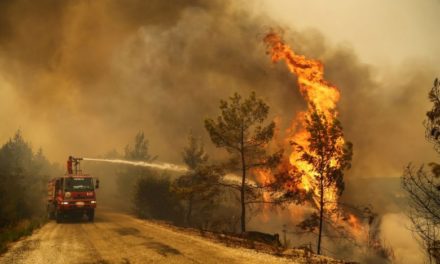Declaran «estado de catástrofe» en Turquia tras incendios forestales