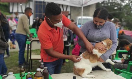 Misión Nevado Aragua atendió más de 400 animales comunitarios y del hogar en el municipio Tovar