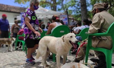 Misión Nevado Aragua se desplegó en diversas parroquias de Girardot para brindar atención integral a animales