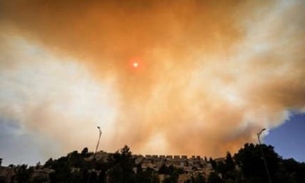 Israel afronta uno de los más grandes incendios forestales de los últimos años