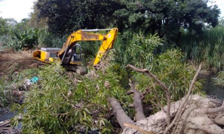 Gobierno Bolivariano realiza trabajos de rectificación de meandros en el sector 18 de mayo de Linares Alcántara