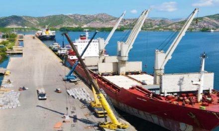 Bolipuertos movilizó más de 2 millones 200 mil toneladas de carga entre enero y agosto del 2021