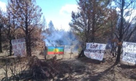 Policía argentina reprime a comunidad mapuche en Río Negro