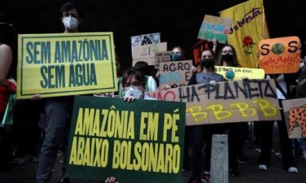 Denuncian a Bolsonaro ante La Haya por deforestación amazónica