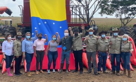 Gobierno Bolivariano inició cosecha de maíz en la hacienda La Mula en el sur de Aragua
