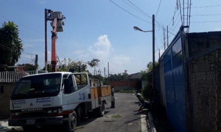 Instalan postes y luminarias en el sector Barrio Venezuela de Francisco Linares Alcántara