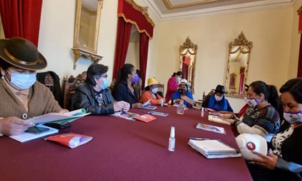 Ministra Roside González participa en reunión con organizaciones sociales de mujeres en Bolivia