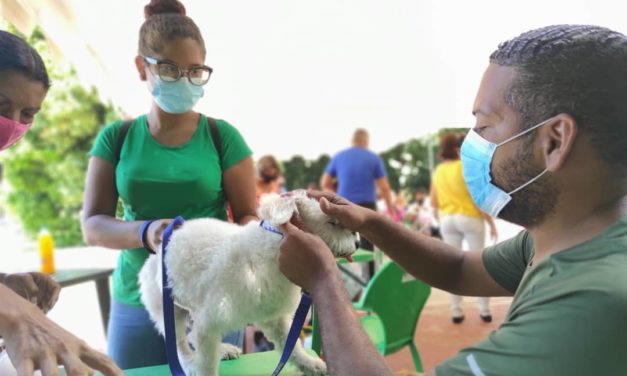 Misión Nevado Aragua atendió más de 130 animales en Mariño