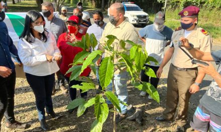 Gobernadora de Aragua participó en jornada de siembra en la UCV