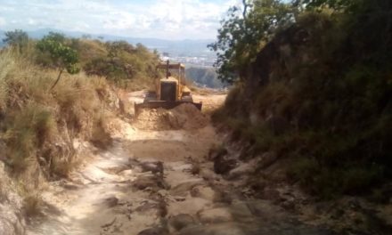 Gobierno de Aragua adelanta trabajos de cortafuegos mecanizados en el Parque Nacional Henri Pittier