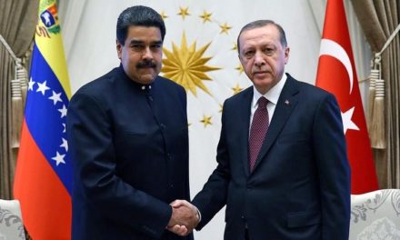 Presidente Maduro y su homólogo de Turquía analizaron el desarrollo relaciones bilaterales