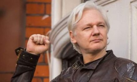 Confirman que Julian Assange sufrió un derrame cerebral en prisión