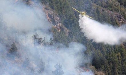 Gobierno argentino declara emergencia ante incendios forestales