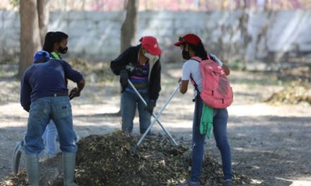 Gobierno de Aragua da inicio al plan de limpieza en el parque Santos Michelena