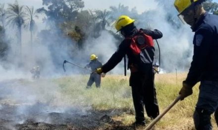 Paraguay enfrenta otra jornada de incendios forestales