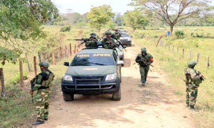 FANB destruye campamento de narcotraficantes colombianos instalado en Apure