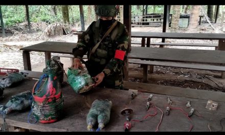 FANB destruye más centros de drogas de grupos armados colombianos en zona fronteriza