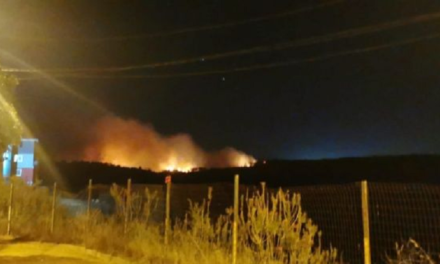 Chile declara en alerta roja a Valparaíso ante incendio forestal