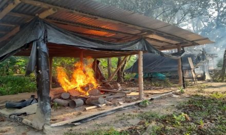 Desmantelan campamento de los grupos TANCOL en La Tigra estado Apure
