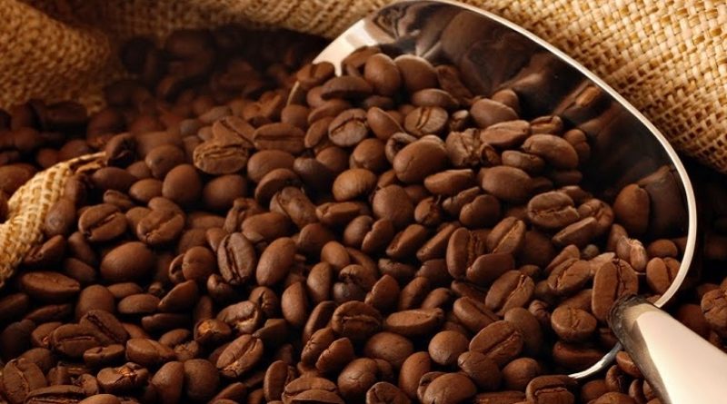Realizarán censo para apoyar productores de café en Aragua