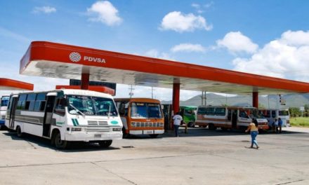 Establecen 77 estaciones de servicio para suministro de combustible al transporte público