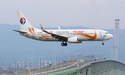 Un avión con 133 personas a bordo se estrella en el sur de China