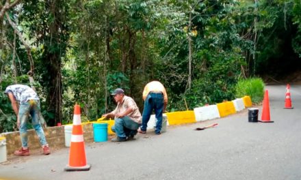 Gobernación de Aragua ejecuta trabajos de mantenimiento en la vía El Limón – Ocumare de la Costa