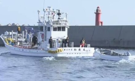Suman 11 muertos tras naufragio de barco turístico en Japón