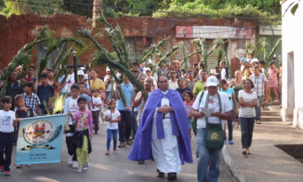 Tradición de los palmeros: Patrimonio de la humanidad que expresa unión del pueblo venezolano