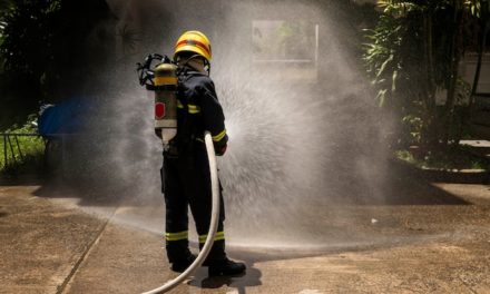 Maduro llama a bomberos forestales continuar su labor ambientalista