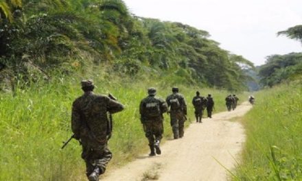 Aumentan desplazamientos por enfrentamientos en el Congo
