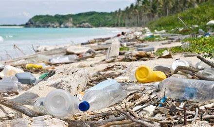 Venezuela reafirma políticas para detener contaminación por plásticos