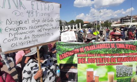 Organizaciones sociales y políticas irán a paro por 48 horas en Perú