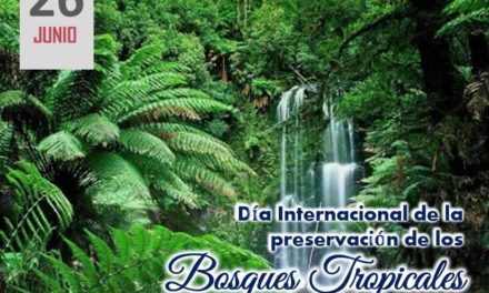 Día Internacional de la Preservación de los Bosques Tropicales