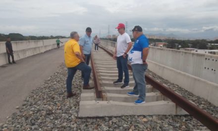 Continúan trabajos en el Sistema Ferroviario tramo estación Mariño y Maracay