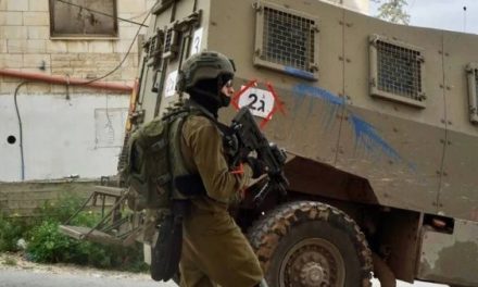 Fuerzas israelíes asesinan a mujer palestina en Hebrón