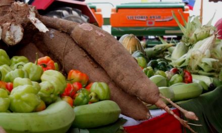 Venezolanos consumen mayoría de alimentos de producción nacional