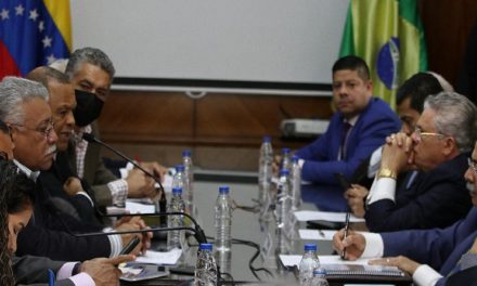 Comisión de Energía busca fortalecer relaciones de cooperación con Brasil